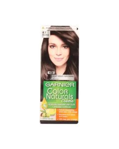 Garnier Color Naturals 4.1 Ash Brown 1 Kit