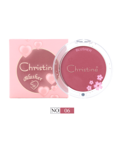 أحمر شفاه كريستين رقم 06 CH-B2317