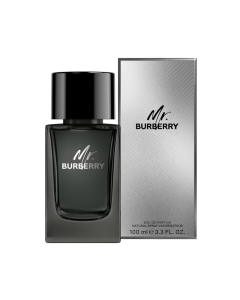 عطر مستر بربري للرجال 100 مل 8210